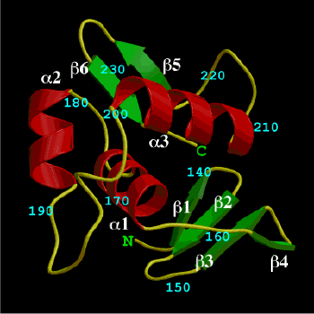 DNA-binding domain of OmpR