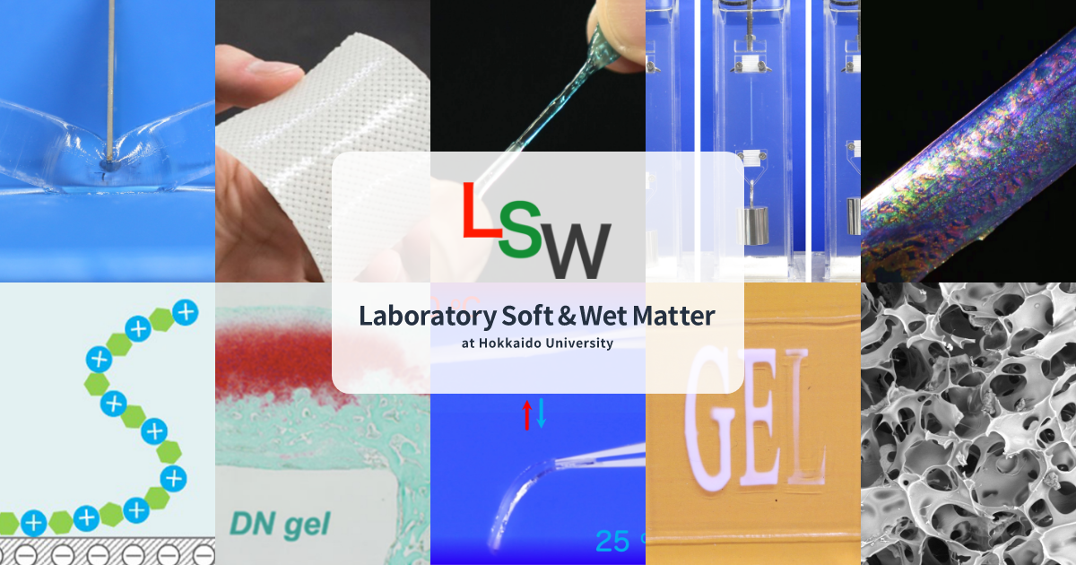 List of Publications – Laboratory Soft & Wet Matter at Hokkaido